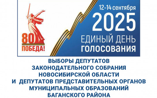 Выборы в Новосибирской области 2025