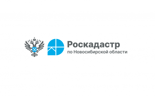 В новосибирском Роскадастре ответят на вопросы о проведении комплексных кадастровых работ